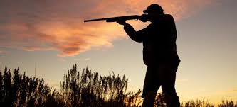 HAYVANLAR ÖZGÜR ARTIK: AV SEZONU KAPANDI