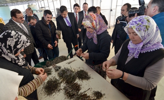 AYDIN, DODURGA'YI KERBELA'YA ÇEVİRDİ